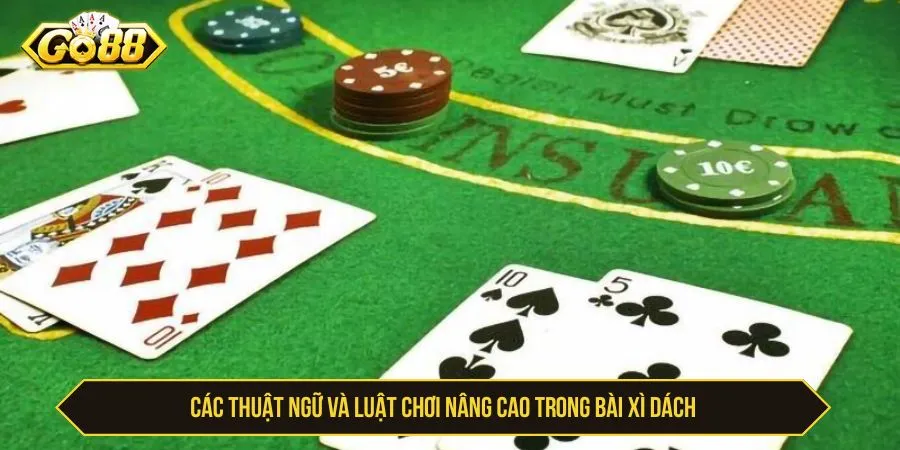 Cách Chơi Xì Dách Với Luật Và Mẹo Chơi Thắng Tuyệt Đối Các thuật ngữ và luật chơi nâng cao trong bài xì dách